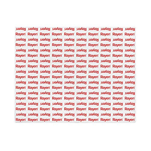 Rayen 6318 - Filtro Universal para Cualquier Tipo de Campana, 57 x 47 cm