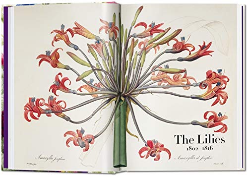 Redouté. Book Of Flowers – 40Th Anniversary Edition