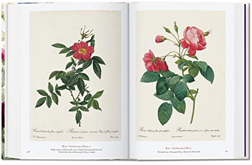 Redouté. Book Of Flowers – 40Th Anniversary Edition