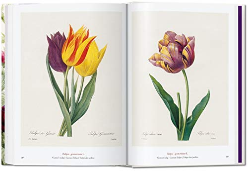 Redouté. Book Of Flowers – 40Th Anniversary Edition