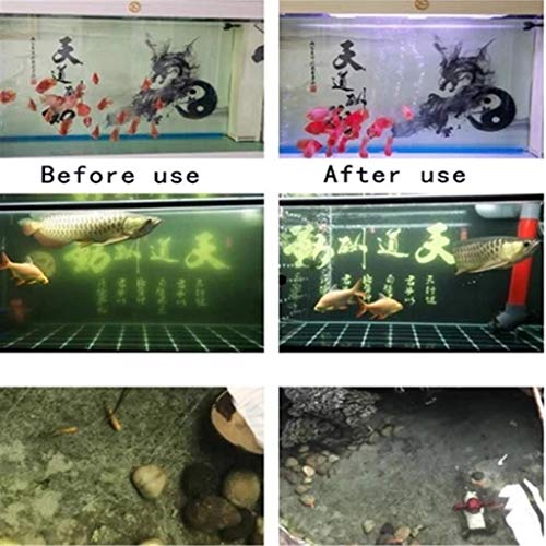 Reeseiy Cubo Purificador De Agua Sunnymi ® Eco Aquarium Cubo Purificador De Agua Ultra Fuerte Filtración Absorción Venta Inicio Uso Diario Producto (Color : Colour, Size : Size)