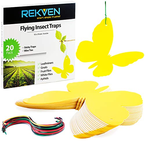 REKVEN - Trampas Adhesivas Grandes 20 Paquete, para Mosca de la Fruta y Otros Insectos Voladores