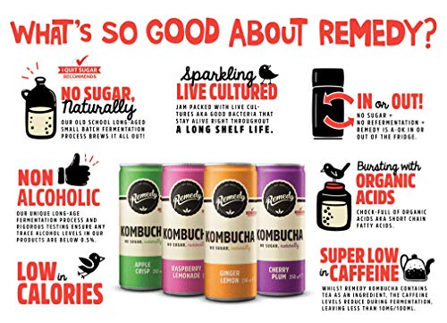 Remedy Raw Kombucha Tea – Bebida brillante cultiva viva, paquete de 4 sabores variados/estuche mixto pack de 24
