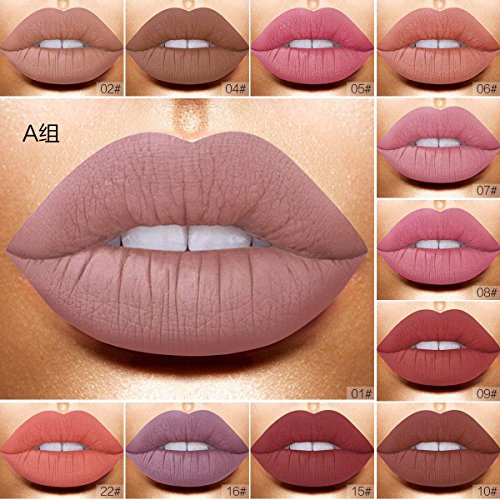 RICHOOSE - Juego de brillos labiales mate, 12 colores, de larga duración, para mujer