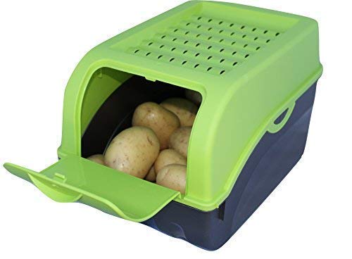 Rival 2 cajas de conservación para patatas, verduras, frutas, cebollas, cajas de almacenamiento - Plástico - Capacidad de 7,7 litros