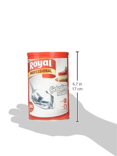 Royal - Gelatina Neutra Hostelería 650 gr, 1 unidad