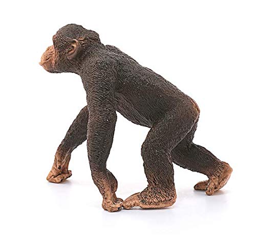 Schleich- Figura chimpancé macho, 5,7 cm