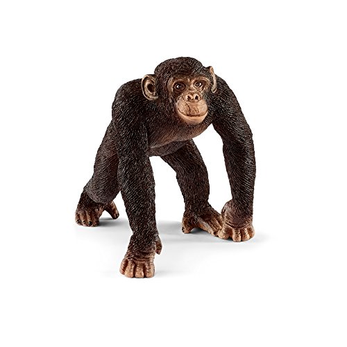 Schleich- Figura chimpancé macho, 5,7 cm