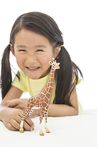 Schleich- Figura Jirafa Hembra, 17,2 cm.
