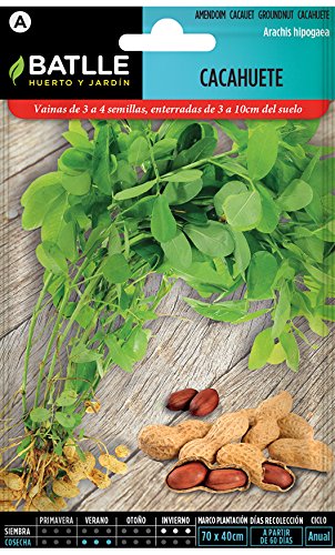 Semillas Aromáticas - Cacahuete - Batlle