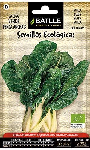 Semillas Ecológicas Hortícolas - Acelga verde penca ancha 3 ECO - Batlle