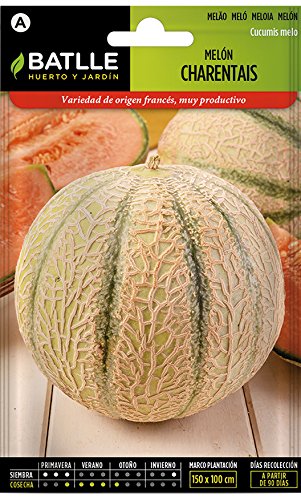 Semillas Hortícolas - Melón Charentais - Batlle
