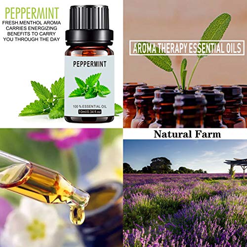 Set de aceites esenciales de aromaterapia orgánica - TOP8 Difusores de aceite, incienso, lavanda, árbol de té, naranja dulce, menta, canela, aguja de pino, romero para el hogar, oficina, sueño, yoga
