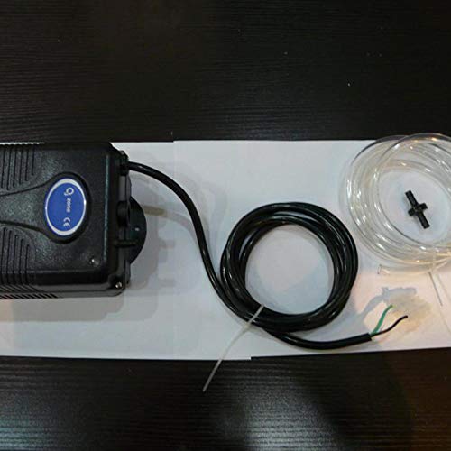 SNOWINSPRING 220V 300Mg / H Generador de Ozono Ba？Era Ducha SPa Piscina Ozonizador Tina Piscina Purificador de Agua Dispositivo de Reemplazo Kit VáLvula Manguera