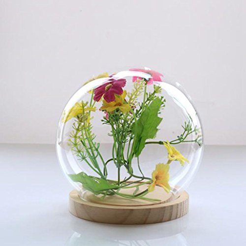 SODIAL Campana de Cristal Decorativa con Piso de Madera, contenedor de Vidrio Transparente Micro-Paisaje Jardin DIY Decoracion de contenedor terrario - Bola, 15x16cm