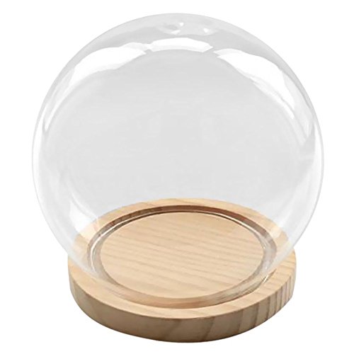 SODIAL Campana de Cristal Decorativa con Piso de Madera, contenedor de Vidrio Transparente Micro-Paisaje Jardin DIY Decoracion de contenedor terrario - Bola, 15x16cm