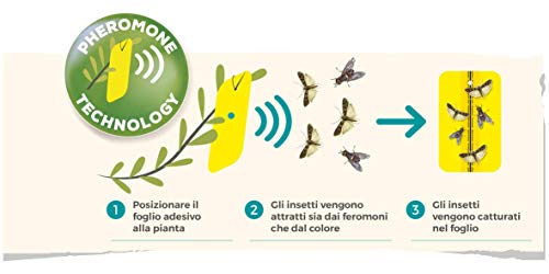 Solabiol Para La Mosca Blanca Y Polilla De Tomate, 4 Placas Trampas Adhesivas contra Insectos, Amarillo, Paquete de 4