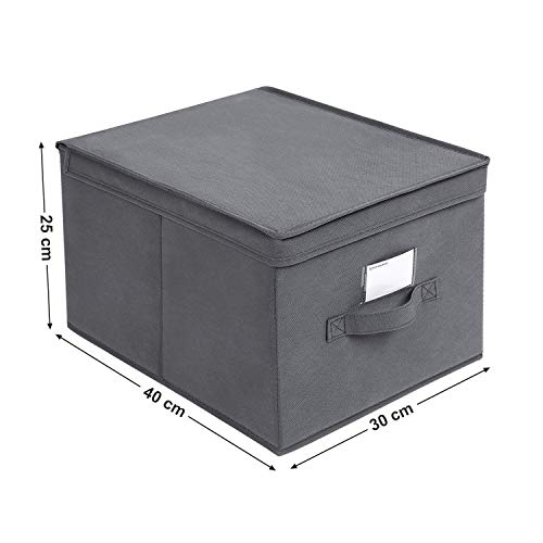 SONGMICS Juego de 3 Cajas Plegables de Alcon Tapas, Cubos de Tela con Portaetiquetas, 40 x 30 x 25 cm, Gris RFB03G