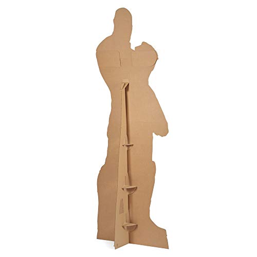 Star Cutouts Ltd oficiales de Warner Brothers Star de cartón de tamaño vivo para fiestas de superhéroes y coleccionistas, 193 cm de altura con mini recorte de mesa gratis, multicolor (SC1291)