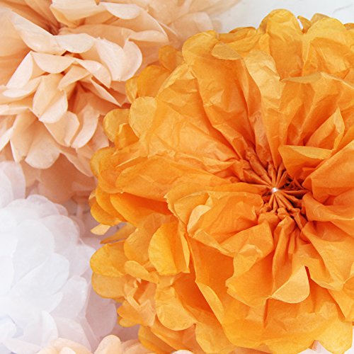 Sunbeauty 20 Piezas Pom Poms Bola de Papel Decoraciones de Baby Shower Boda Fiesta Santa Semana (Mixto de Color Claro)