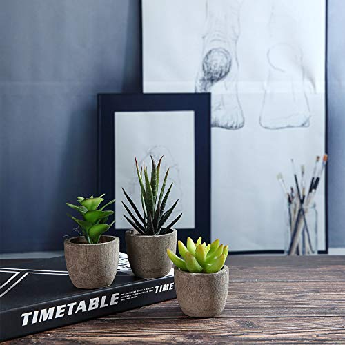 T4U Artificial Serie de Plantas Suculentas Hierba Decorativa de Plástico Colección 2, Paquete de 3