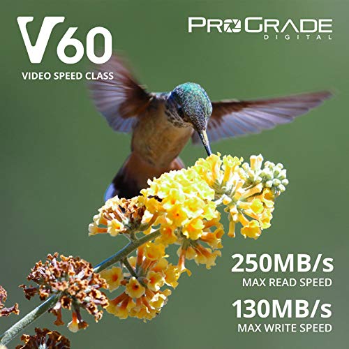 Tarjeta SD UHS-II de 64GB V60: velocidad de escritura de hasta 130MB/s y velocidad de lectura de 250MB/s | Para profesionales, cineastas, fotógrafos y conservadores de contenido: por Prograde Digital