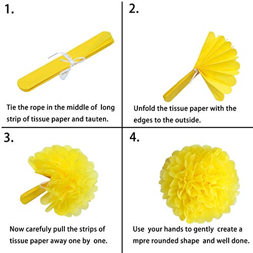 TATAFUN 24 Piezas Decoración Fiesta Abanicos de Papel Flores Pompom Bolas de Nido de Abeja Guirnaldas para Celebración Fiesta de Cumpleaños Bodas Carnaval Mexicano