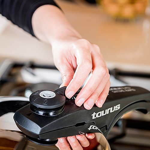Taurus Olla a Presión, Plateado, 10 litros
