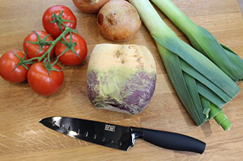 Taylor's Eye Witness 381917 Brooklyn - Cuchillo santoku (titanio), multicolor