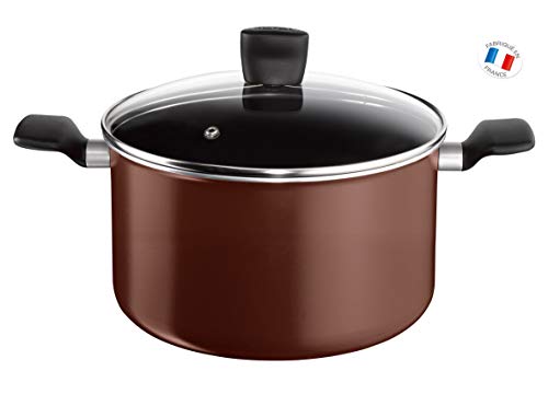Tefal B3006902 – Marmita con tapa, de aluminio, marrón, 12,2 l, 30 cm