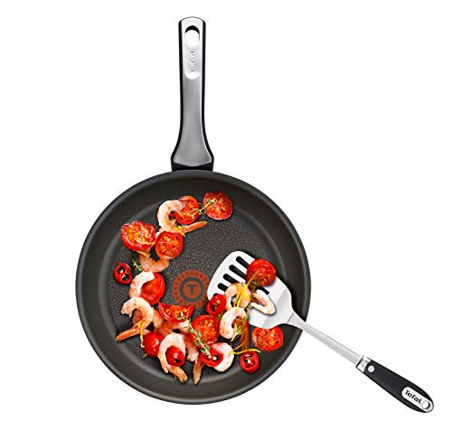 Tefal Expertise - Sartén antiadherente anodizada (28 cm)