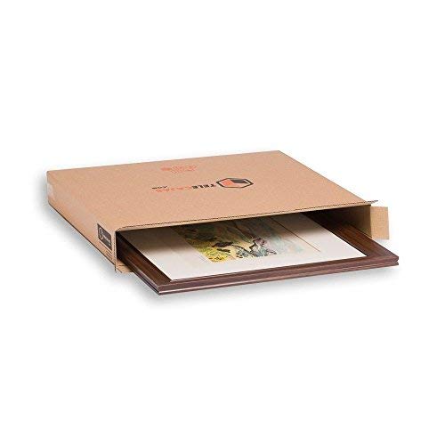 TeleCajas® | (10x) Cajas para Cuadros, Espejos, Televisor | 81x13x69 cms | Solapa Doble y Canal Doble Resistente