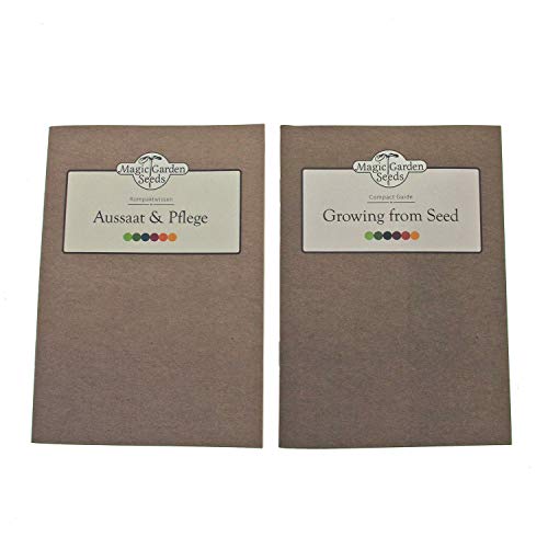 Tomates, Albahaca y Perejil (Orgánico) - Set de regalo de semillas con 5 plantas ideales para la asociación de cultivos