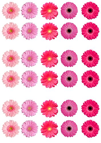 Top That - Rosas de oblea para decorar pasteles (30 unidades), diseño de gerbera, color rosa
