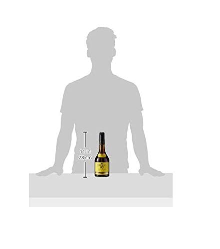 Torres 10, Brandy - 700ml