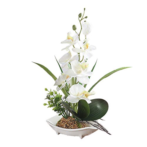 True Holiday Flores Artificiales de orquídea con jarrón de Porcelana Blanca, decoración de Centro de Bonsai Artificial, Flores de plástico, Realista y Realista