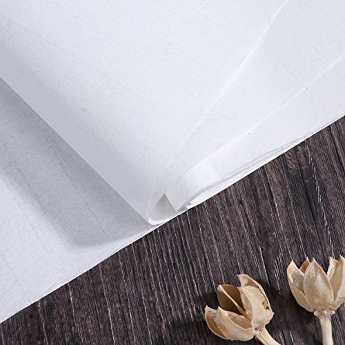ULTNICE Rollos de Papel de arroz de caligrafía China 50 Hojas 13,78 * 9,84 Pulgadas