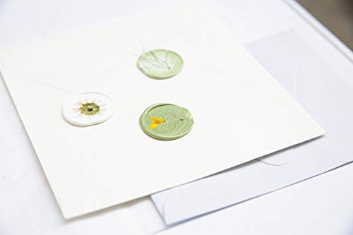 UNIQOOO Arts & Crafts - Sello redondo de cera para invitaciones de boda, cabeza de latón macizo sin grabado, perfecto para invitaciones, sobres, caracoles, envoltorio de regalo, proyectos de bricolaje