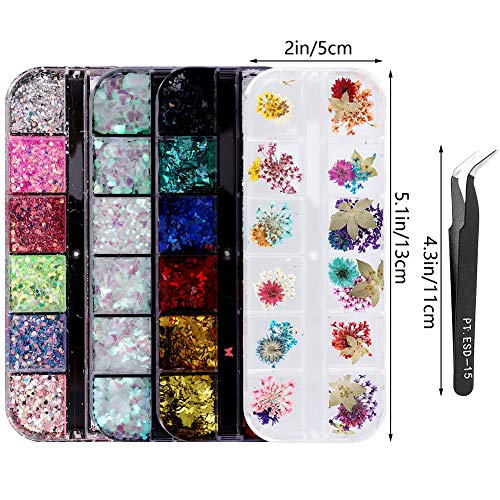 upain 4 Cajas Lentejuelas de Uñas 3D Holográfica Glitter Uñas Purpurina de Uñas Decoración de Manicura de Purpurinas Brillantina Mariposa Flores Secas Estrella Lunar Nail Art Foil Glitter 48 Diseños