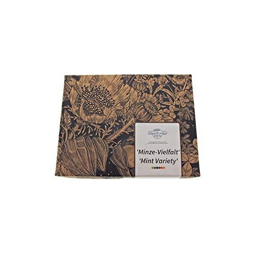 Variedades de Hierbabuena o Menta - Set de regalo-Semillas con la menta, menta aquatica y calamento