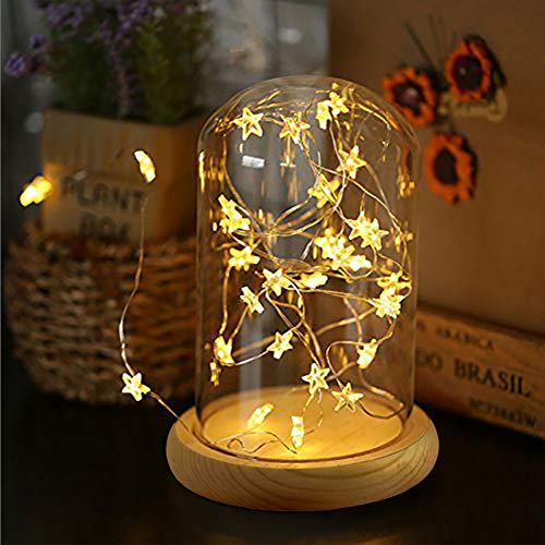 Warmiehomy Campana de Vidrio Decoracion, Campana de Cristal Decorativa con Base de Madera, Cúpula de Vidrio, Cupula de Cristal, Urna Cristal Decorativa, Transparente
