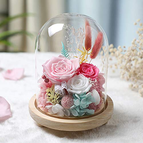 Warmiehomy Campana de Vidrio Decoracion, Campana de Cristal Decorativa con Base de Madera, Cúpula de Vidrio, Cupula de Cristal, Urna Cristal Decorativa, Transparente
