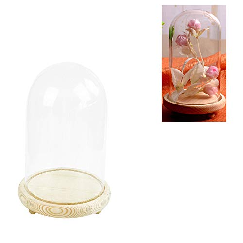 Warmiehomy Campana de Vidrio Decoracion, Campana de Cristal Decorativa con Base de Madera, Cúpula de Vidrio, Cupula de Cristal, Urna Cristal Decorativa, Transparente