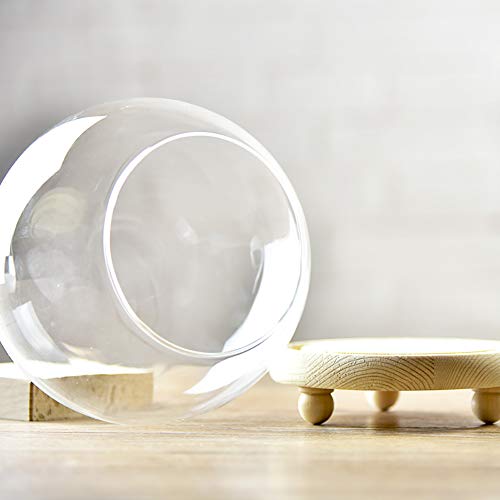 Warmiehomy Campana de Vidrio Decoracion, Campana de Cristal Decorativa con Base de Madera, Cúpula de Vidrio, Cupula de Cristal, Urna Cristal Decorativa, Transparente