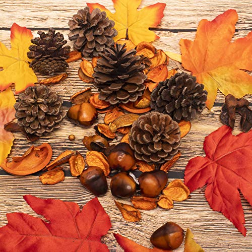 Whaline - Juego de calabazas, hojas de arce, calabaza, conos de pino y bellotas para decoración de mesa, 31 piezas