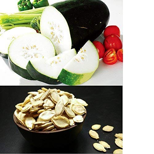 Winter Melon Seeds 10g Wax Gourd Hairy Tong Round Tong Garden Vegetable Organic Chinese Green Fresh Fresh Climbing Hermb Seeds para plantar al aire libre para cocinar plato sopa