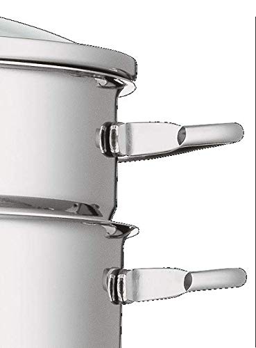 WMF 720909990 Grand Gourmet - Olla cocción a vapor, 20 cm, color plata
