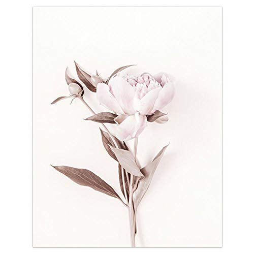 WQFairy Lámina artística Flores Arte de la Pared Peonía Carteles Floral Rosa Lienzo Pintura Sala de Estar Dormitorio Decoración Imágenes (3 Piezas 40x60 cm sin Marco)