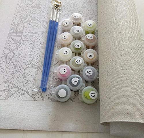 XUESONGSSD Pintar con Numeros Adornos Navideños Regalos para Adultos Y Niños para Decoración del Hogar Juguetes Y Juegos-Peces De Agua Dulce 40 * 50Cm (Sin Marco)