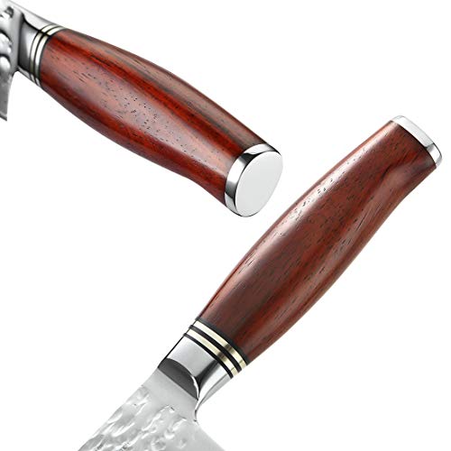 YARENH Cuchillo de Cocina Profesional,Set Cuchillos Cocina de Acero Damasco Japones con 5 Piezas,Mango de Madera Dalbergia,Cuchillos de Chef Marcas Ultra Filoso HTT-Serie